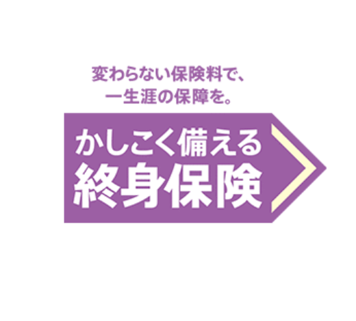 生命保険_見積もり_かしこく備える終身保険(アフラック)